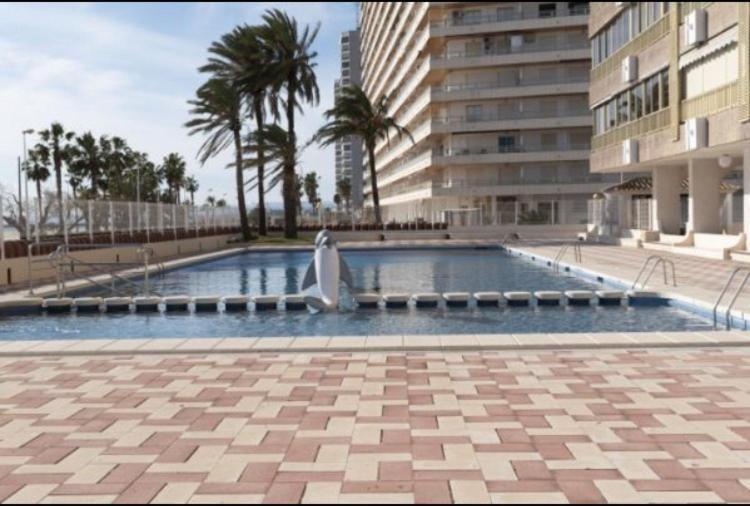 1A Linea Con Piscina Nuevo Leilighet Cullera Eksteriør bilde
